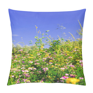 Personality  Summer Meadow Background With Various Blooming Wild Flowers And Green Grasses Pillow Covers