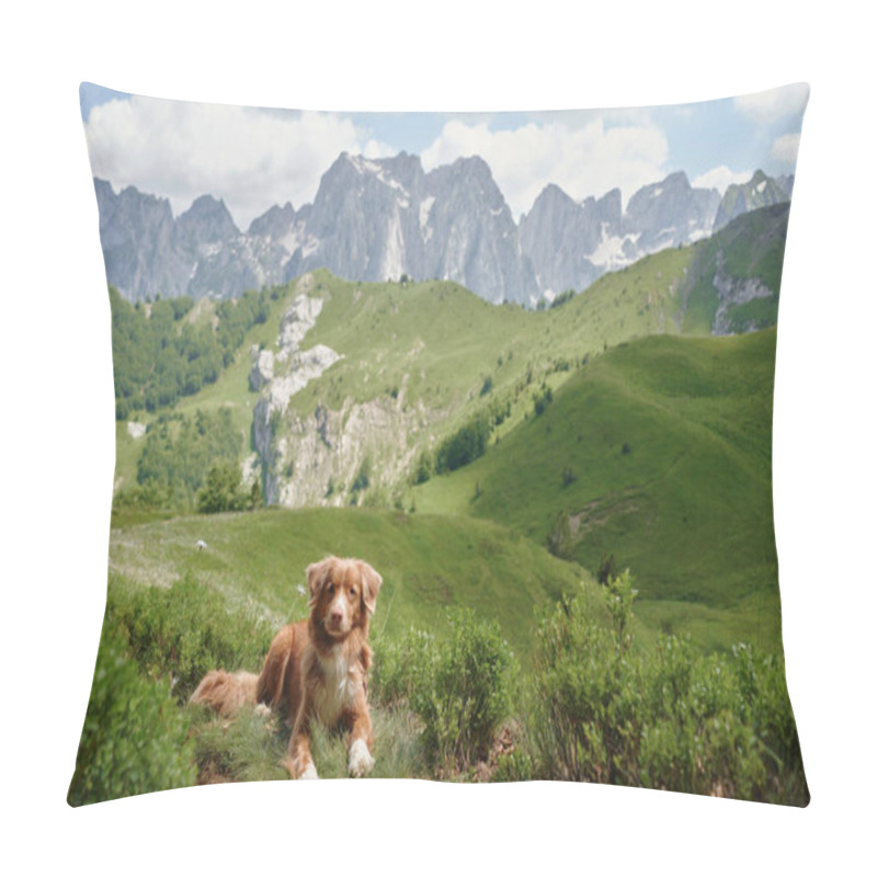 Personality  Dog Traveler In The Mountains. Nova Scotia Duck Tolling Retriever In The Valley. Hiking With A Pet In Montenegro  Pillow Covers