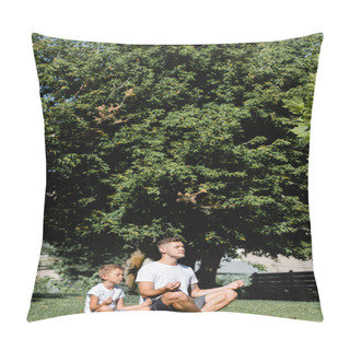 Personality  Father And Son With Closed Eyes Relaxing While Sitting In Lotus Pose On Grass With Big Tree On Background Pillow Covers