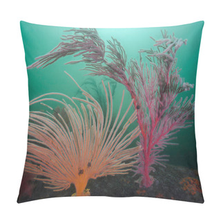 Personality  Reef Scene With Large Orange Flagellar Sea Fan And A Palmate Sea Fan Surrounding It Pillow Covers