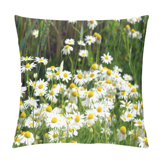 Personality  Camomile Pillow Covers