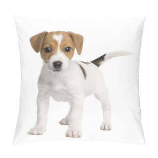 Personality  Puppy Jack Russell (7 Weeks) Pillow Covers