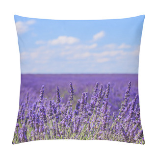 Personality  Lavender Flower Blooming Fields Horizon. Valensole Provence, Fra Pillow Covers