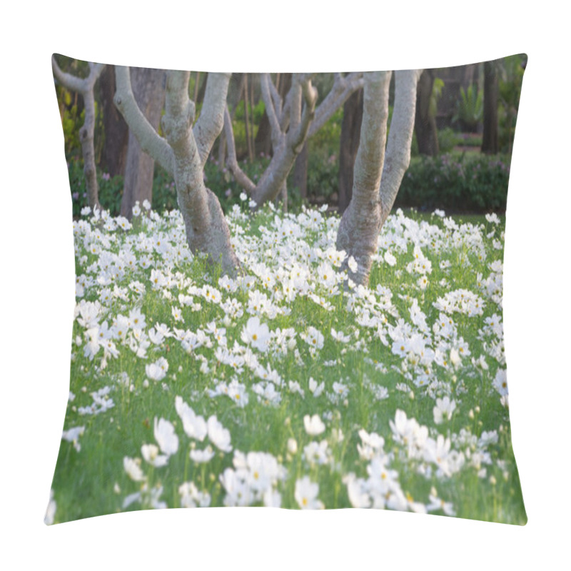 Personality  Beautiful white cosmos flower pillow covers