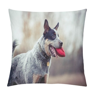 Personality  Australian Cattle Dog - Dog Training - Playing Dog - Blue Heeler Pillow Covers