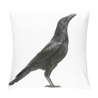 Personality  Side View Of A Carrion Crow Looking Up, Corvus Corone, Isolated Pillow Covers