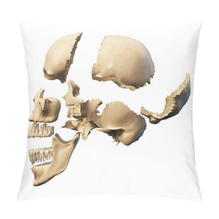 Personality  Human Skull With Parts Exploded. Pillow Covers