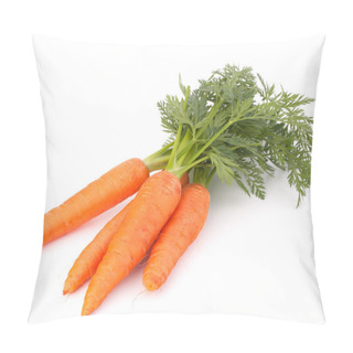 Personality  Carrot Vegetable With Leaves Pillow Covers
