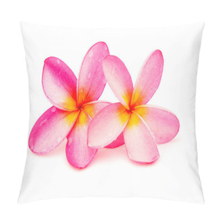 Personality  Beautiful Pink Frangipani Plumeria Flowers Pillow Covers