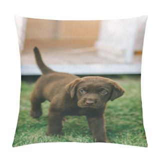Personality  Puppy Pillow Covers