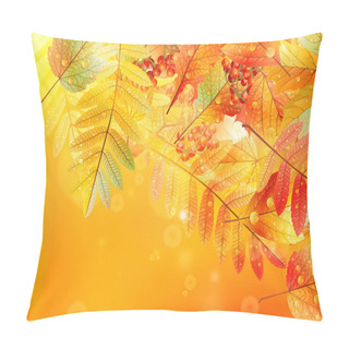 Personality  Autumn Foliage Background. Pillow Covers