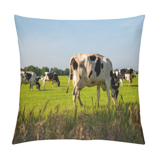 Personality  Dutch Group Of Cows Outside During Sunny Spring Weather In The Netherlands Noordoostpolder Flevoland Pillow Covers