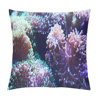 Personality  Underwater World Of Sea, Seaweed And Corals Pillow Covers