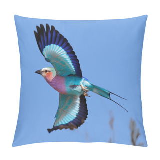 Personality  Lilac-breasted Roller In Flight Pillow Covers