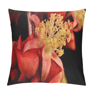 Personality  Castor-Oil Plant (Ricinus Communis). Male Flower Closeup Pillow Covers