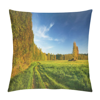 Personality  Autumn Gravel Road Pillow Covers