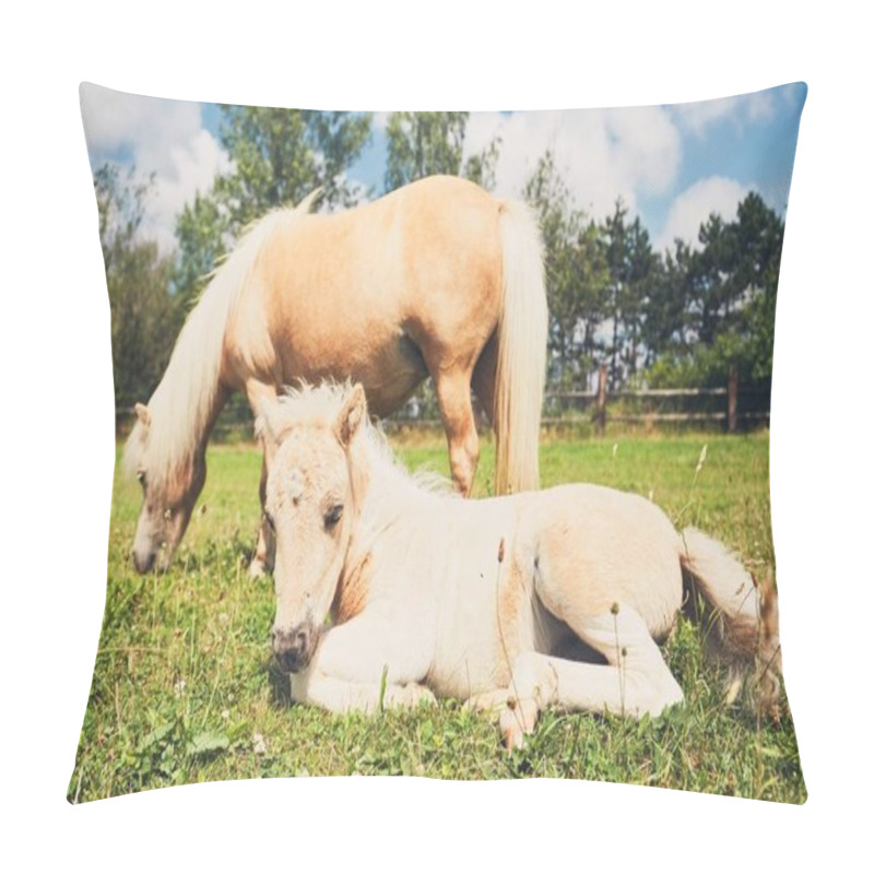 Personality  Miniature horse on the pasture pillow covers