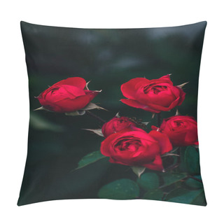 Personality  Romantic Red Roses Blossoming Outside In Autumn, Floral Concept, Nature Wallpaper With Copy Space Pillow Covers
