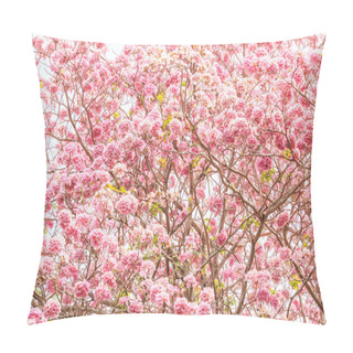 Personality  Tabebuia Rosea Pink Flowers Pillow Covers
