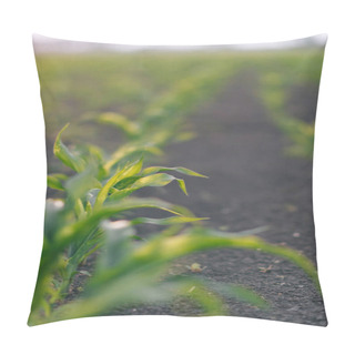 Personality  A Close-up Photograph Capturing The Growth Of A Small Plant Emerging From The Soil. Pillow Covers