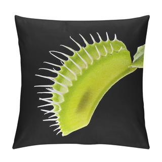 Personality  Venus Flytrap (dionaea Muscipula) On Black Pillow Covers