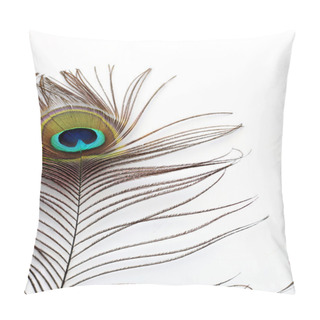 Personality  Peacock Feather Pillow Covers