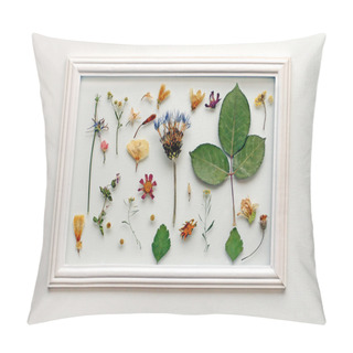 Personality  Gentle Herbarium Of Dried Herbs And Flowers Hanging On A Wall In Pillow Covers