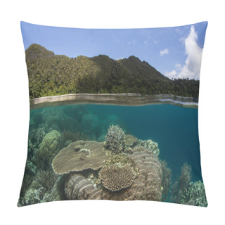 Personality  Coral Colonies In Part Of The Solomon Islands Pillow Covers