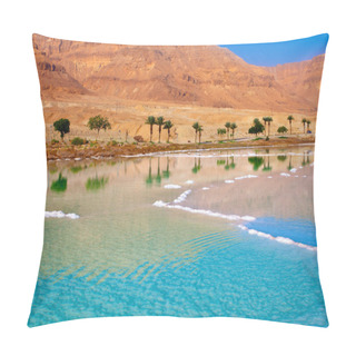 Personality  Dead Sea Seashore With Palm Trees Pillow Covers