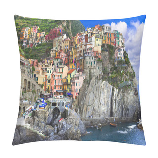Personality  Colorful Village Manarola In Famous Cinque Terre In Liguria, Italy. Pillow Covers