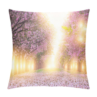 Personality  Pink Trumpet Tree Blossom And Falling On Ground Is Romantic Walkway With Light On The Morning. Pillow Covers