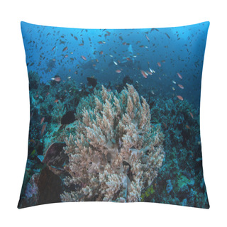 Personality  Small Reef Fishes Swarm Over A Coral Reef Pillow Covers