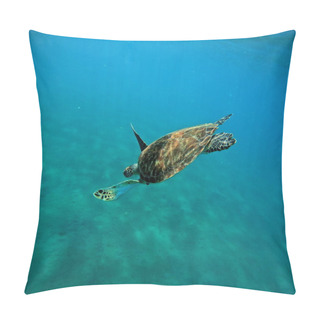 Personality   Underwater Photo Of Diving Hawksbill Sea Turtle , Eretmochelys Imbricata Pillow Covers