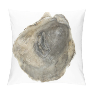 Personality  Large Empty Oystershell Pillow Covers