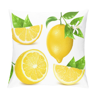 Personality  Fresh Lemons With Leaves And Blossom. Pillow Covers