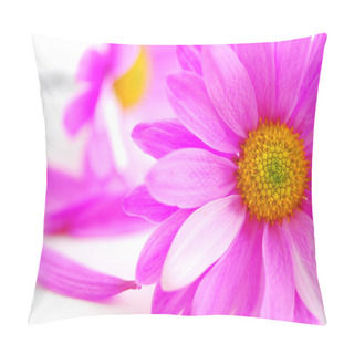 Personality  Closeup Of Pink Flower Blossoms On White Background Pillow Covers