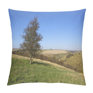 Personality  Autumn Hillsides Pillow Covers