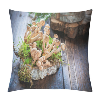 Personality  Group Of Wild Forest Mushrooms On Wooden Saw Cut Pillow Covers