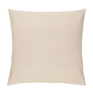 Personality  Pastel Paper Light Ocher Coarse Grain Grunge Texture Pillow Covers