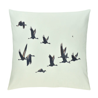 Personality  Birds In Flight. A Silhouettes Of Cranes In Flight. Flock Of Cranes Flies At Sunrise. Foggy Morning, Sunrise Sky  Background. Common Crane, Grus Grus Or Grus Communis, Big Bird In The Natural Habitat.  Pillow Covers