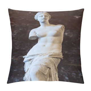 Personality  Aphrodite Of Milos Pillow Covers