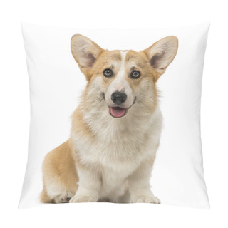 Personality  Welsh Corgi Pembroke (7 Months Old) Pillow Covers