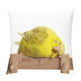 Personality  Yellow Budgerigar On A Branch Pillow Covers