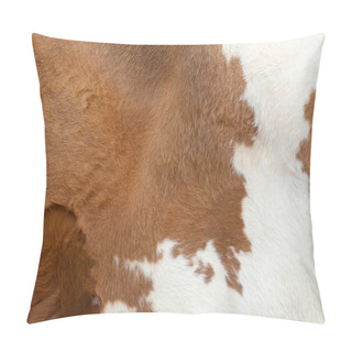 Personality  Fur Carpet Pillow Covers