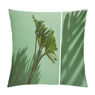 Personality  Collage Of Fresh Tropical Green Leaves On Green Background With Shadow Pillow Covers
