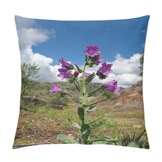 Personality  Viper's Bugloss Flower Pillow Covers