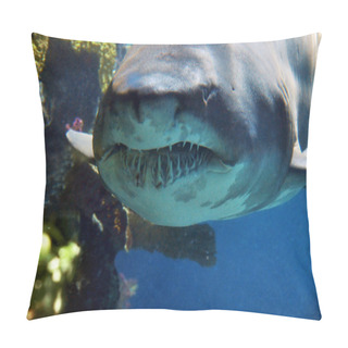 Personality  Ragged Tooth Shark Pillow Covers