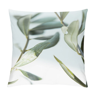 Personality  Close Up View Of Leaves Of Olive Branch On Blurred Background Pillow Covers