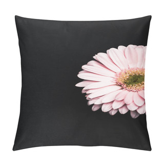Personality  Beautiful Pink Gerbera Isolated On Black Pillow Covers