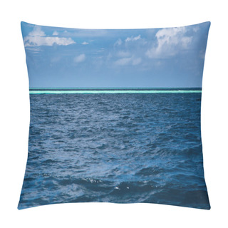 Personality  Blue Ocean Background, Water Line Horizon. Nature Landscape Pillow Covers